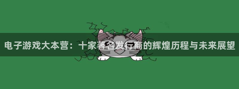 db电竞官网注册平台是什么：电子游戏大本营：十家著名发行商的辉煌历程与未来展望