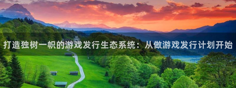 db电竞官网注册地址在哪里查：打造独树一帜的游戏发行生态系统：从做游戏发行计划开始