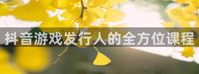 db电竞官网注册平台：抖音游戏发行人的全方位课程