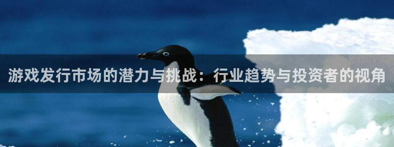 db电竞官网注册平台怎么注册的：游戏发行市场的潜力与挑战：行业趋势与投资者的视角