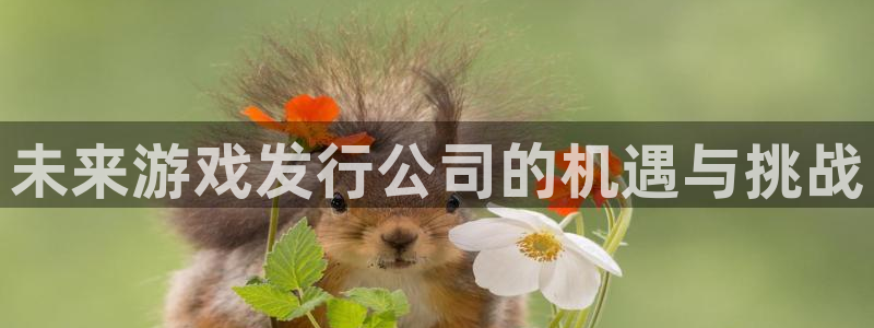 db电竞官网注册方法视频教程：未来游戏发行公司的机遇与挑战