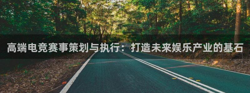 db电竞技术有限公司