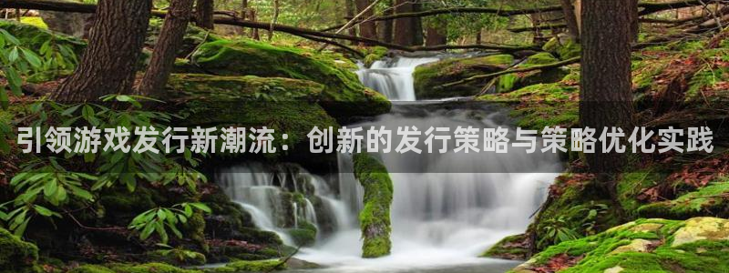 db电竞装饰：引领游戏发行新潮流：创新的发行策略与策略优化实践