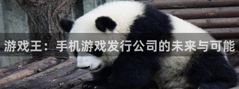 db电竞官网注册登录官网：游戏王：手机游戏发行公司的未来与可能