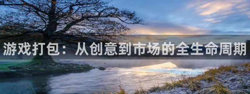 db电竞官网登录注册账号是什么样的：游戏打包：从创意到市场的全生命周期