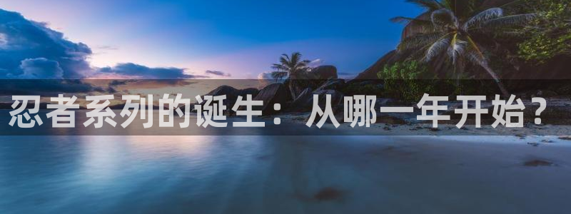 db电竞技术有限公司：忍者系列的诞生：从哪一年开始？