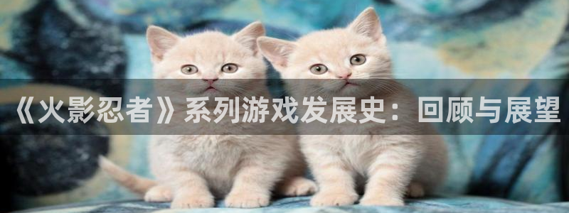 db电竞烟照片
