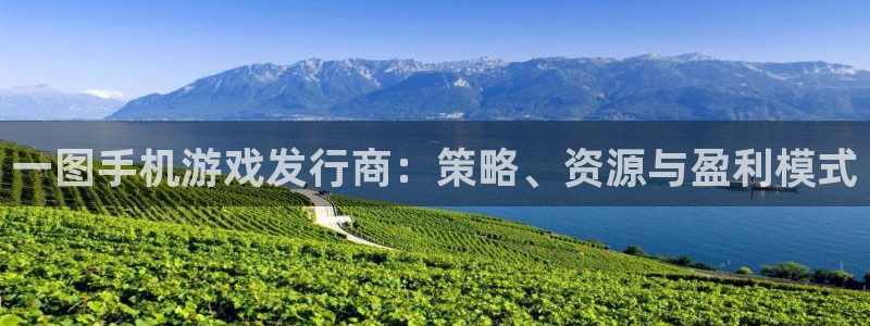 db电竞官网客服怎么样：一图手机游戏发行商：策略、资源与盈利模式