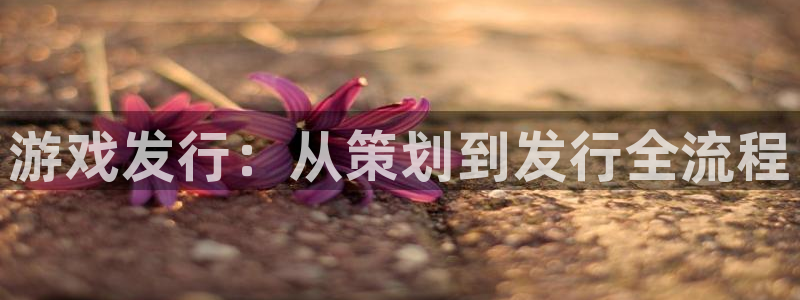 db电竞官网解绑银行卡怎么操作