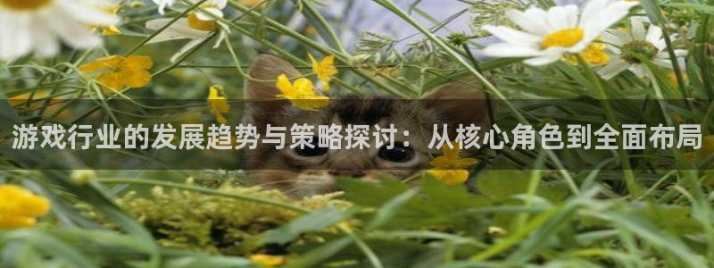 db电竞品牌服装